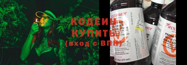 хмурый Гусев
