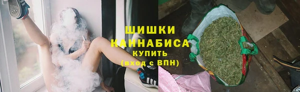 хмурый Гусев