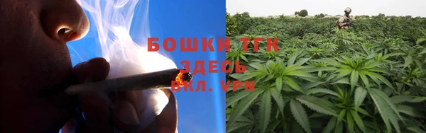 мяу мяу мука Гусь-Хрустальный