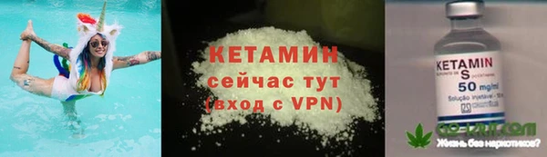 мяу мяу мука Гусь-Хрустальный
