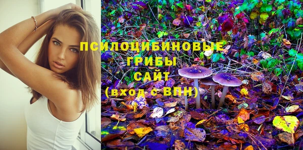 мяу мяу мука Гусь-Хрустальный
