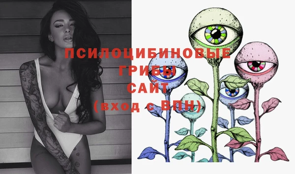 MESCALINE Гусиноозёрск
