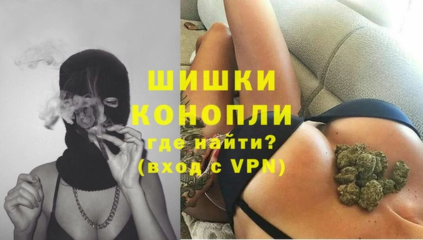 хмурый Гусев