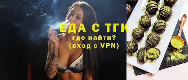 хмурый Гусев
