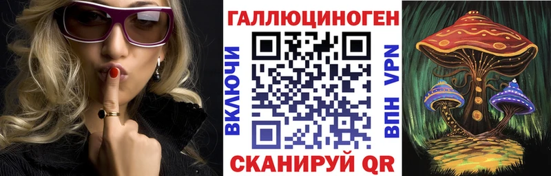 блэк спрут ссылки  Задонск  маркетплейс телеграм  Галлюциногенные грибы Cubensis 